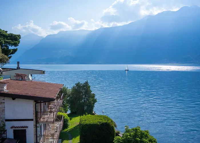 Hotel Forbisicle