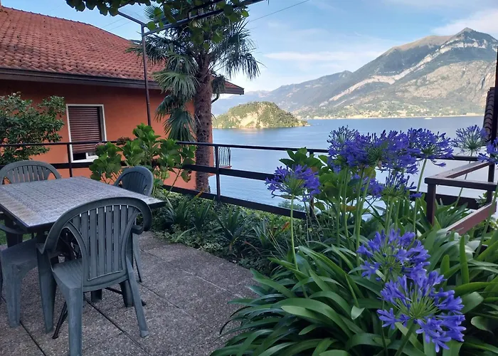 Bellavista Garden And Flowers