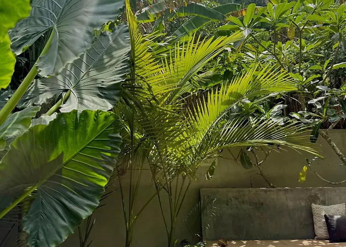 The Yard Hiriketiya