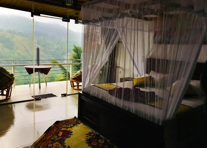 Ella Hide View