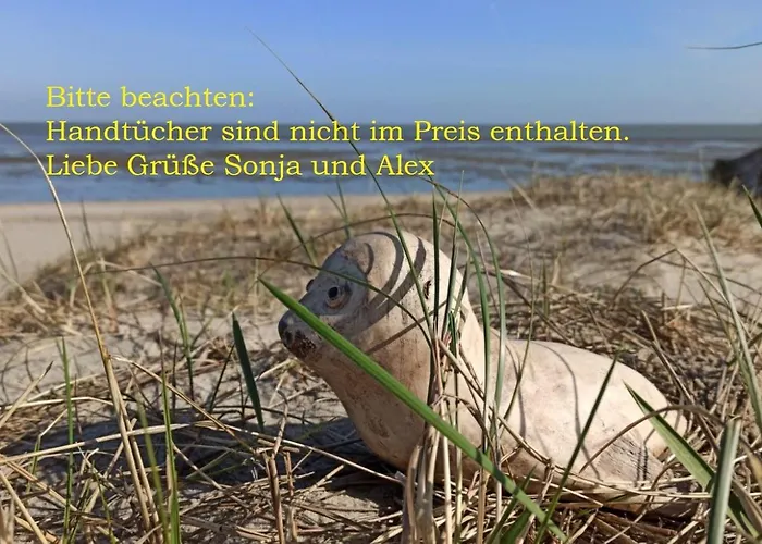 Seehund-Lilly