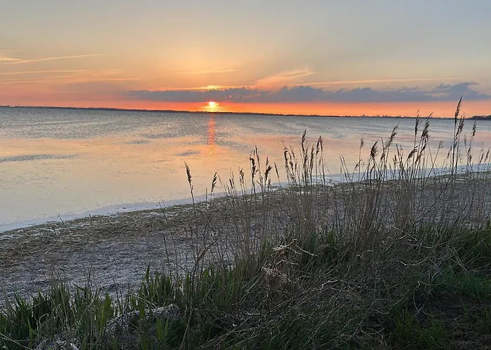 Reethaus Rosengarten Rügen gegenüber Hiddensee - Whg Strauchrose im DG