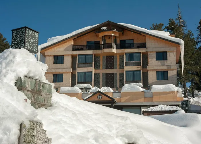 The Vintage Gulmarg