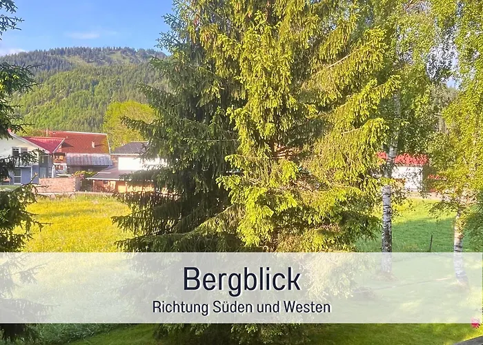 Ruhige zentrale Apartments mit privater Infrarotsauna&Bergblick in Tannheim