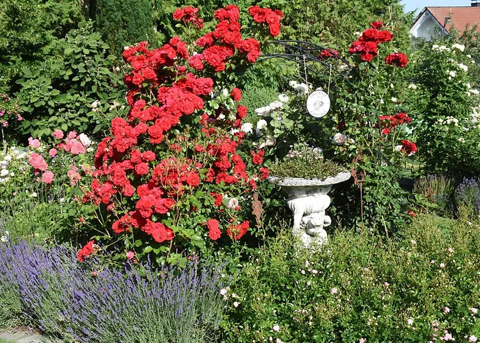 Ferienwohnung im Rosengarten