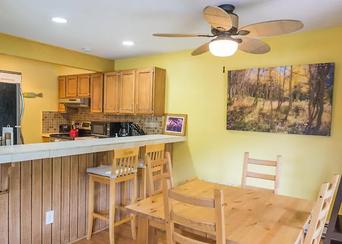 Mountain Stream Condo