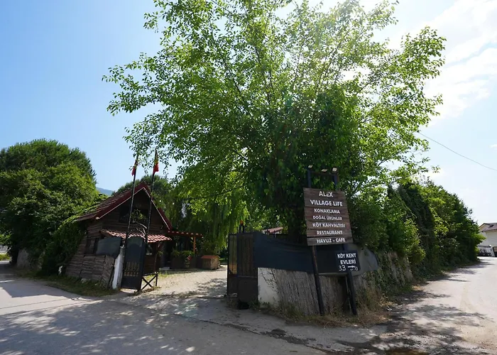 Alex Village Life