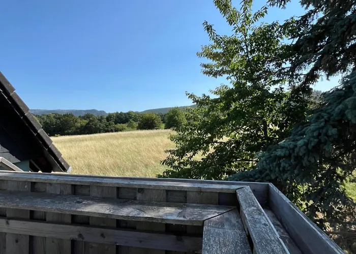 Ferienwohnungen Harzblick