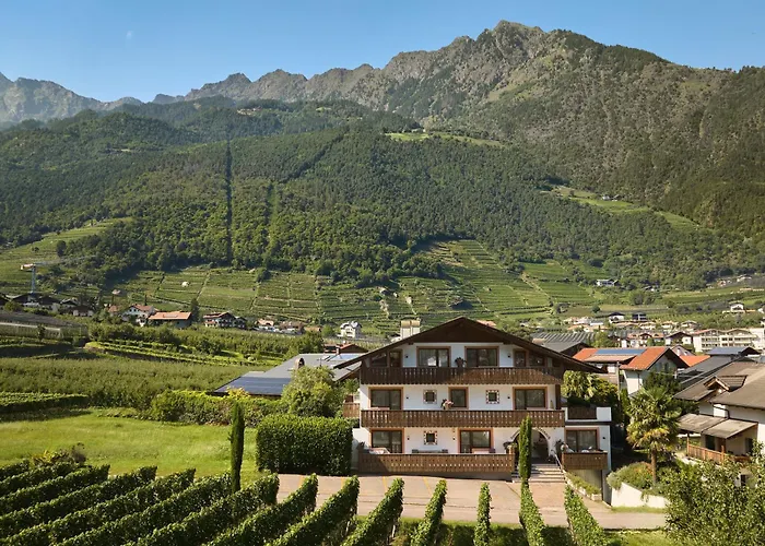 Apartment Steinach