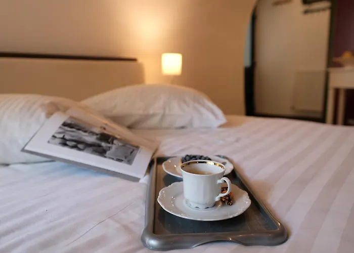 Old Town Sibiu Studio - Historical Center Residence