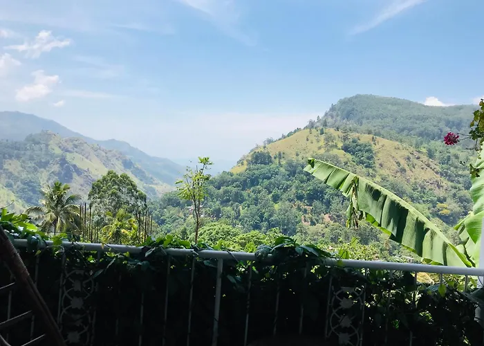 Ella Hide View