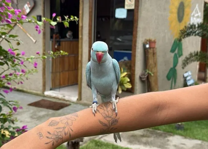 Nauru Chales Milagres