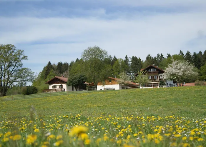 Ferienhaus Axmann