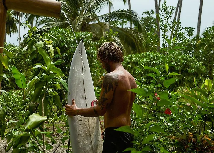 Mentawai Surfing Fishing