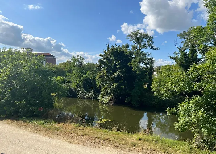 Petit Cocon des Rives Proche Stanislas-terrasse&parking gratuit