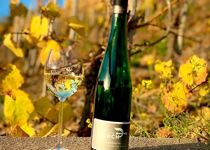 Winelicious - Arrive & Enjoy