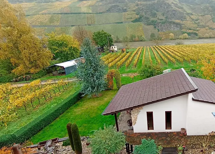 Ferienwohnung mit Blick auf die Moselloreley