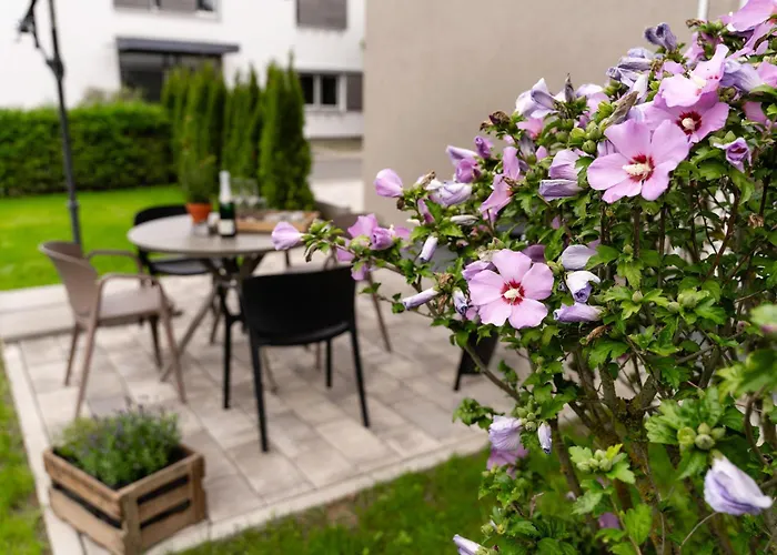 Boutique Studio im Herzen TBBs