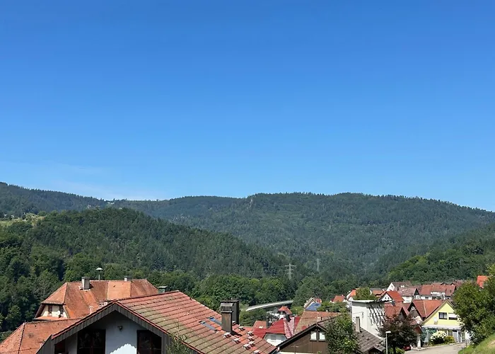 Black Forest, Relaxation, Your Place!