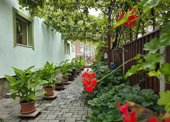 Rodica Apartment
