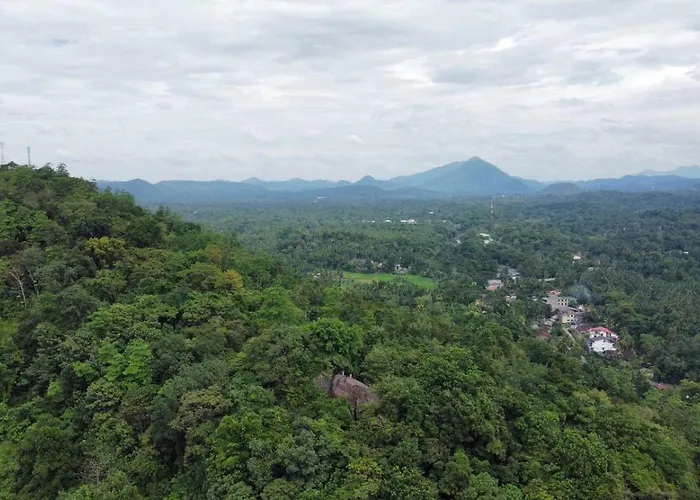 Elephant Vale