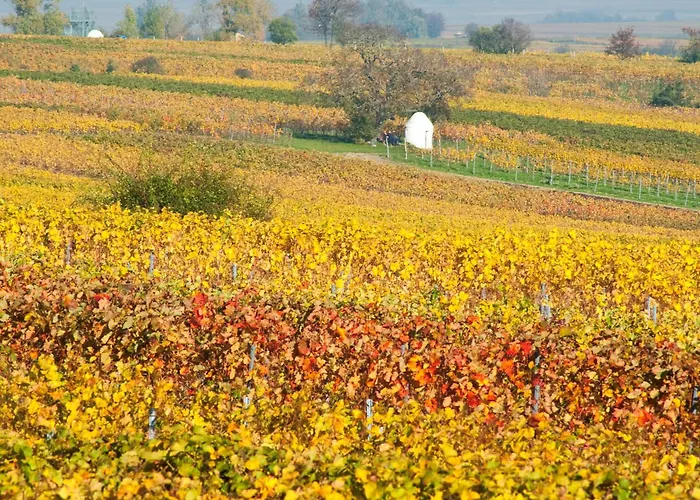 Gästehaus&Weingut PETH