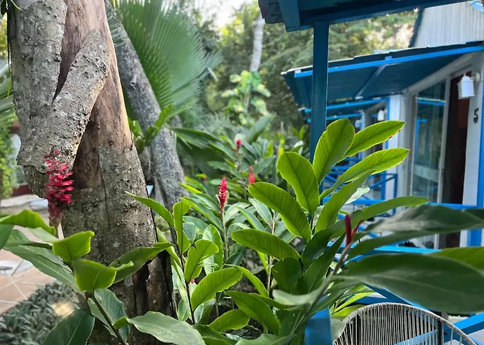 Zensus Eco Boutique Hotel