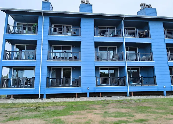 Aurora At Nautilus - Pet Friendly Oceanfront Condo