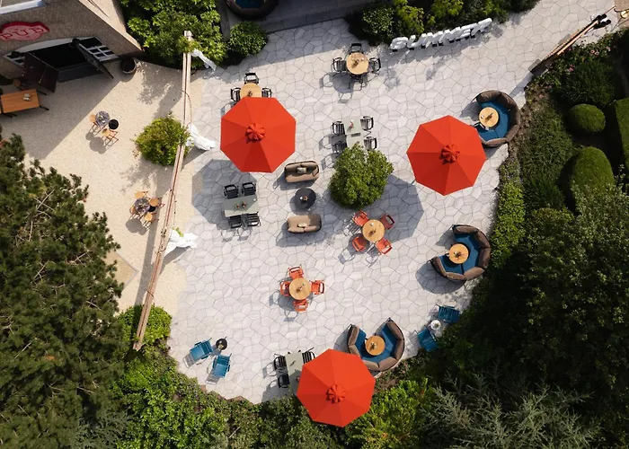 Carlton Oasis Hotel