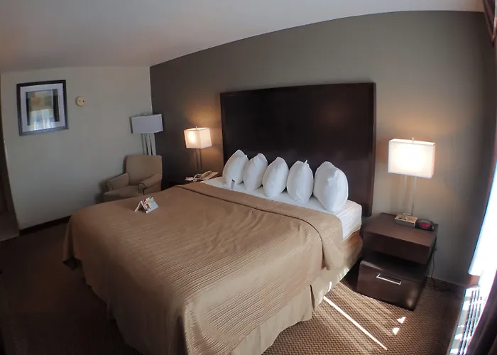Quality Inn & Suites