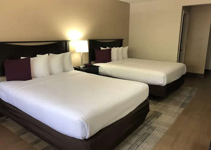 Stanford Inn&Suites Anaheim