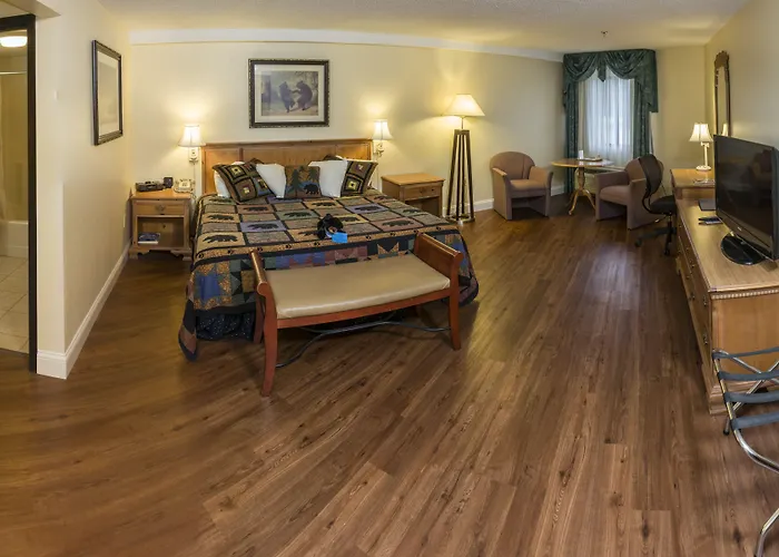 Black Bear Inn, An Ascend Collection Hotel