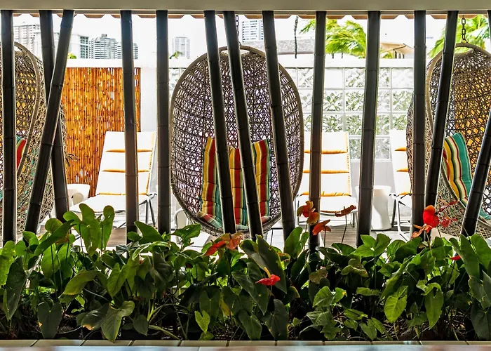 Oasis Hotel Waikiki