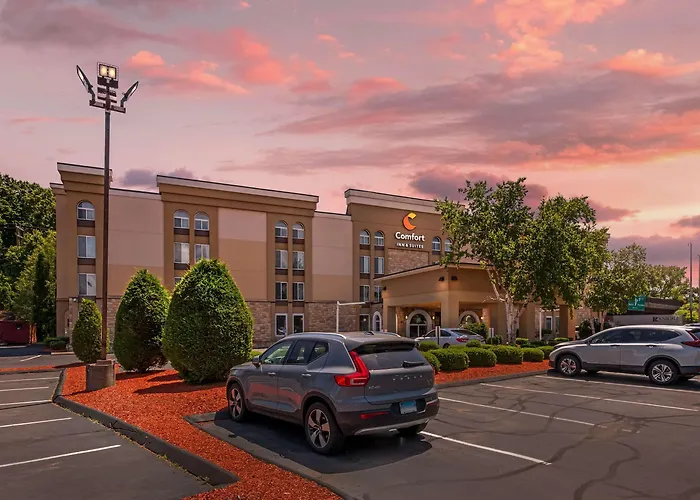 Comfort Inn & Suites East Hartford - Hartford