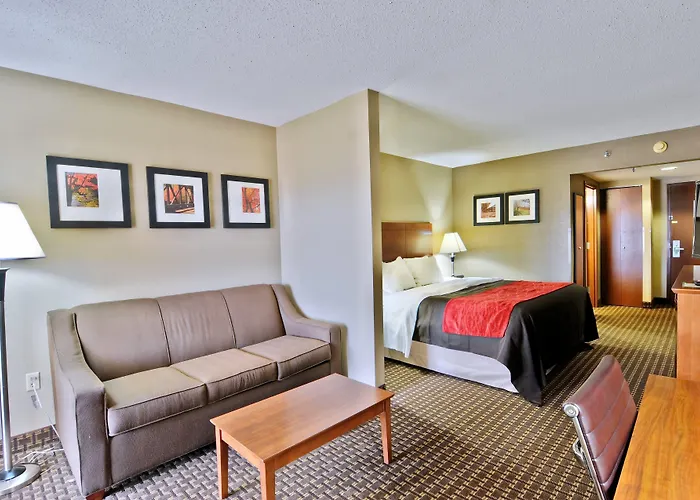 Comfort Inn & Suites Raphine - Lexington Near I-81 And I-64