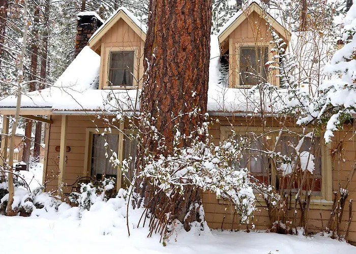 Sleepy Forest Cottages