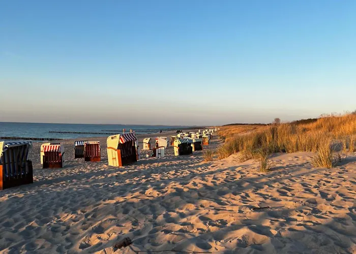 nagelneue Fewo mit Waldblick 10min zur See Igelring21og