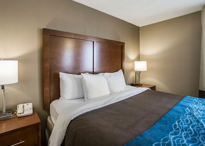 Comfort Inn & Suites Hazelwood - St Louis