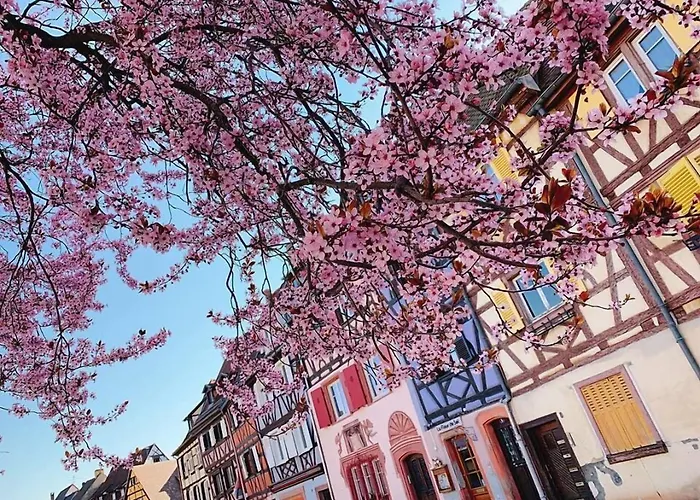 Hotel L'Europe Colmar, BW Signature Collection