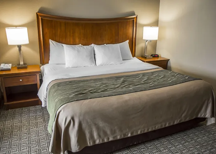 Quality Inn & Suites Bradford