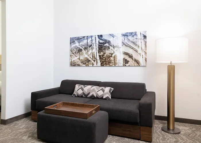 Springhill Suites By Marriott Williamsburg