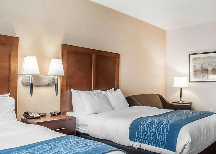 Comfort Inn & Suites Hamburg - Buffalo South