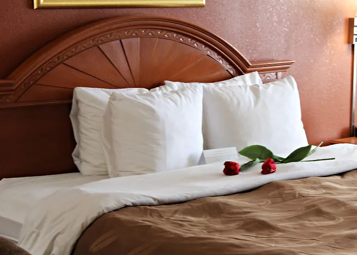 Quality Inn & Suites Cincinnati Sharonville