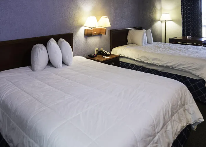 Regency Inn & Suites - Saint Augustine