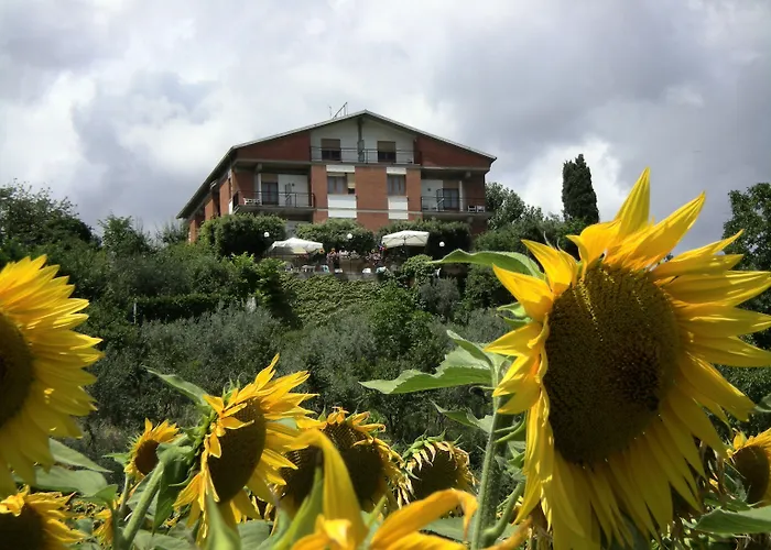 Hotel Sangallo B&B - Panoramic Position - Valley And Vineyard View- Family Run