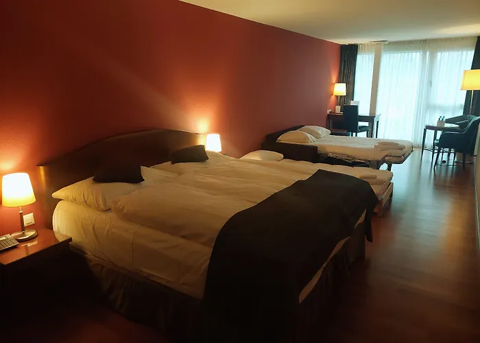 Hotel Rallye & Entrees Aux Bains De La Gruyere