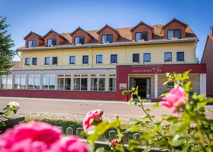 Ringhotel Hotel Zum Stein