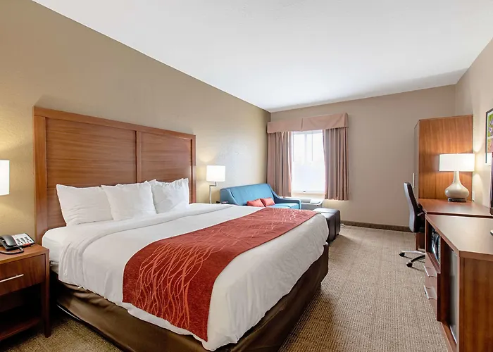 Comfort Inn & Suites Fredericksburg