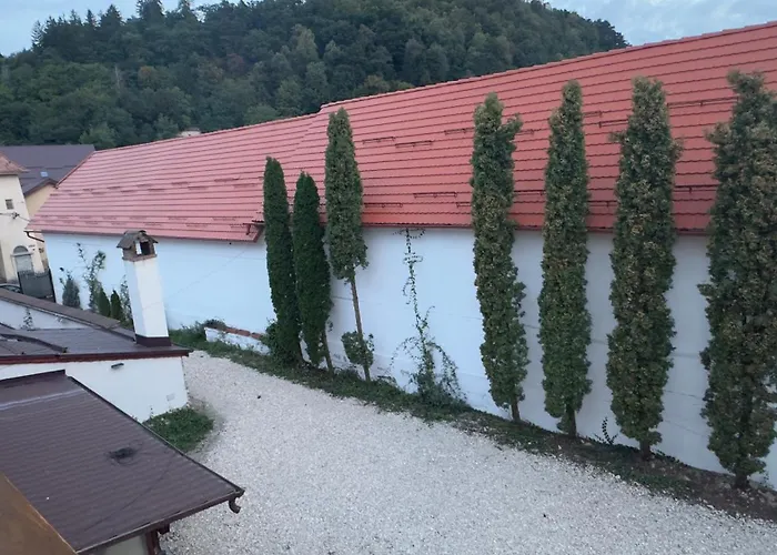 Pensiunea Bergwald Rasnov Brasov By Buysellrent