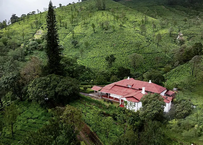Sereniva Orange Grove Bungalow